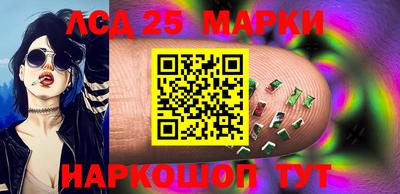 гидропоника Ставрополь