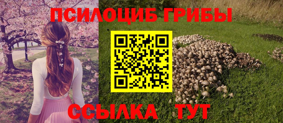 Балашиха  Галлюциногенные грибы мухоморы  Вход с VPN  Псилоцибиновые грибы мухоморы 