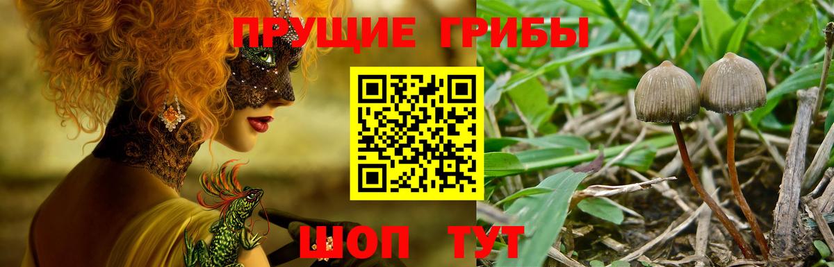 Псилоцибиновые грибы мухоморы Балашиха